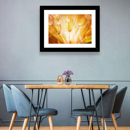 Golden Hour Dandelion Seed Macro Abstract Wall Art