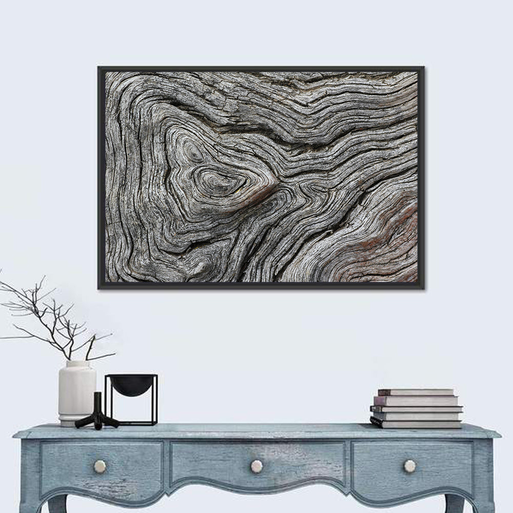 Tree Growth Rings Wall Art