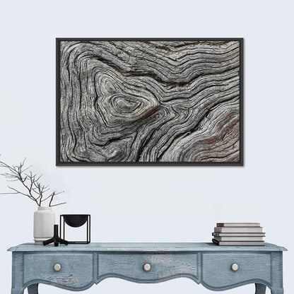 Tree Growth Rings Wall Art