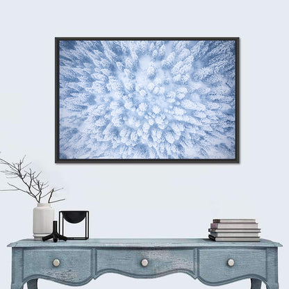 Snow-dusted Evergreen Canopy Wall Art
