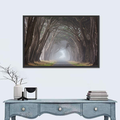 Cypress Tree Tunnel in Fog Wall Art