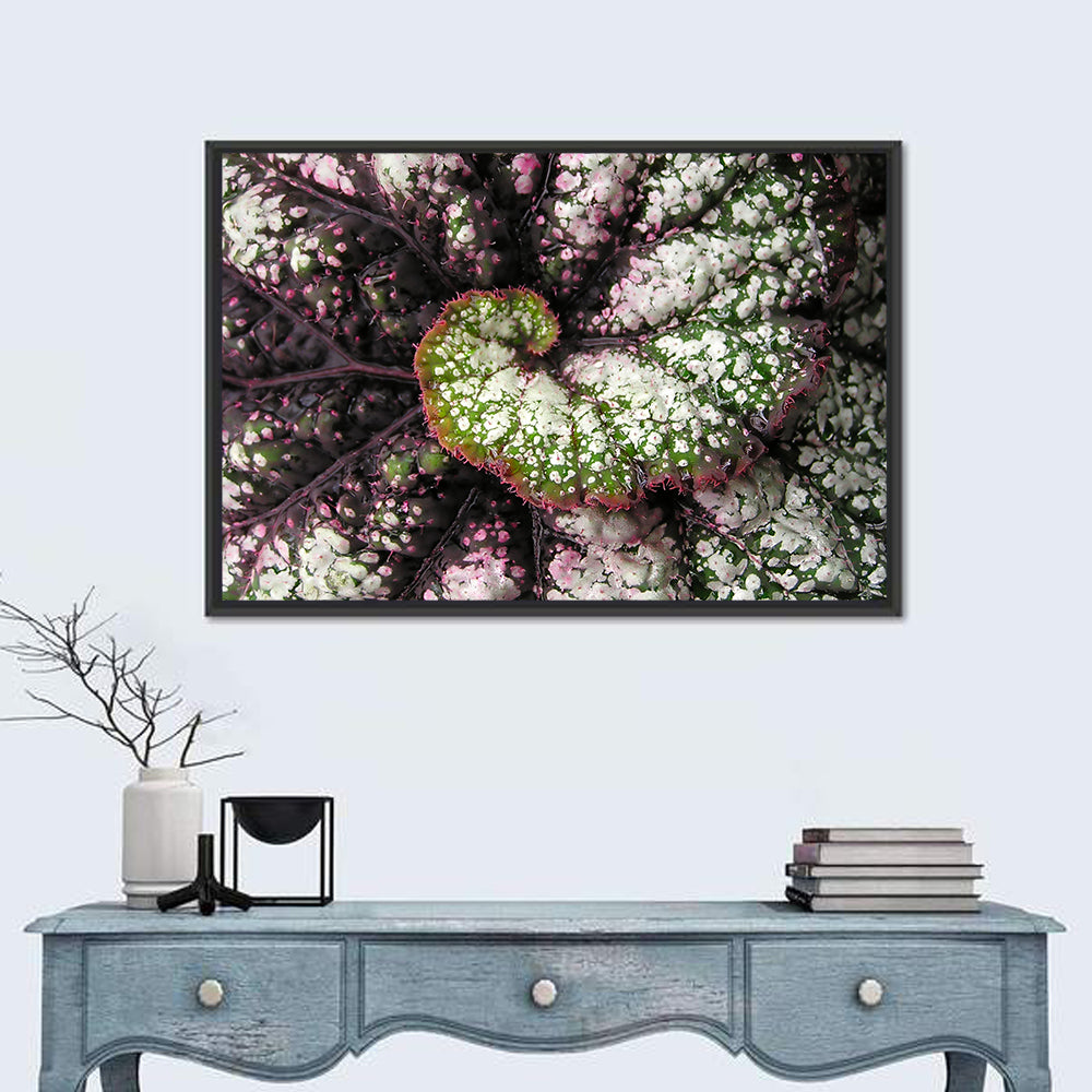 Begonia Leaf Spiral Geometry Wall Art
