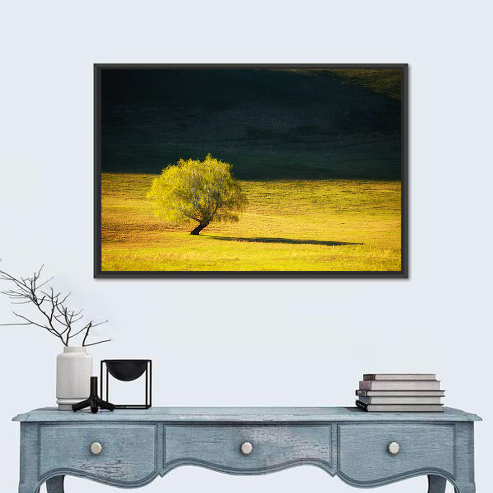 Lone Tree in Golden Meadow Wall Art