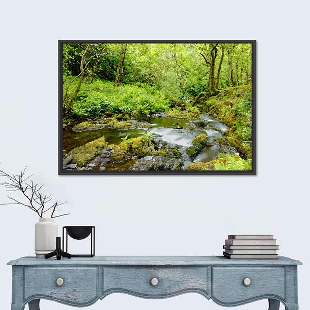 Mossy Stream Through Forest Wall Art in a room, landscape