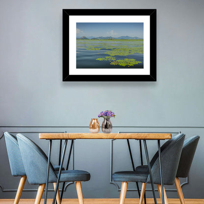 Lake Skadar Water Lilies Wall Art