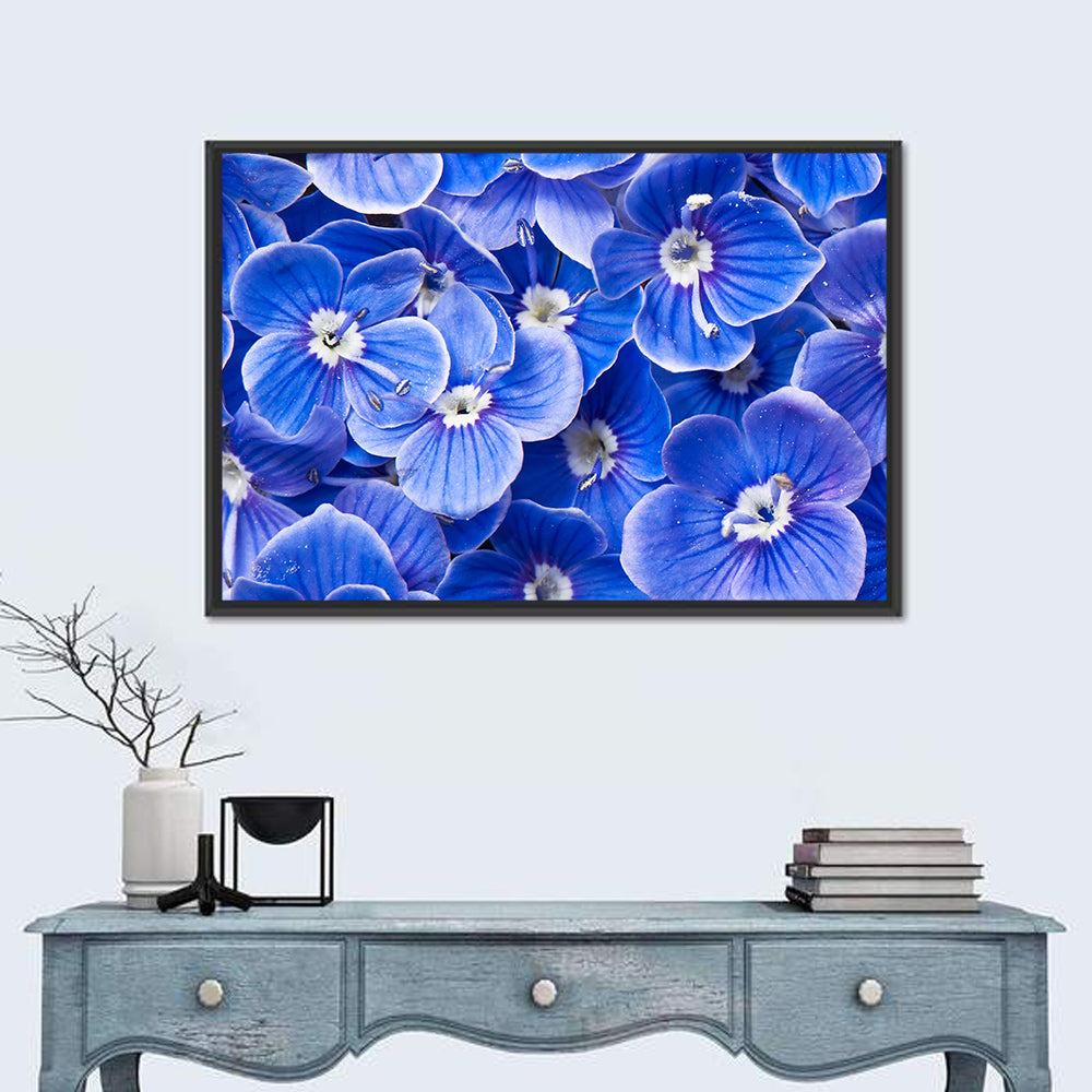 Blue Wildflower Close-up Wall Art