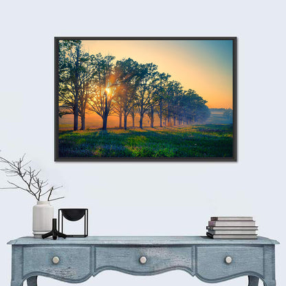 Oak Alley Golden Hour Wall Art
