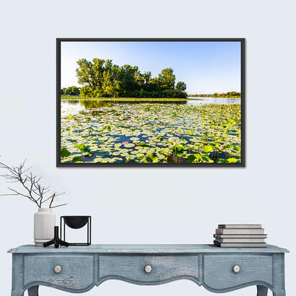 Carter Lake Lily Pads Wall Art
