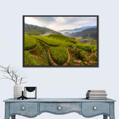 Terraced Rice Paddies Wall Art