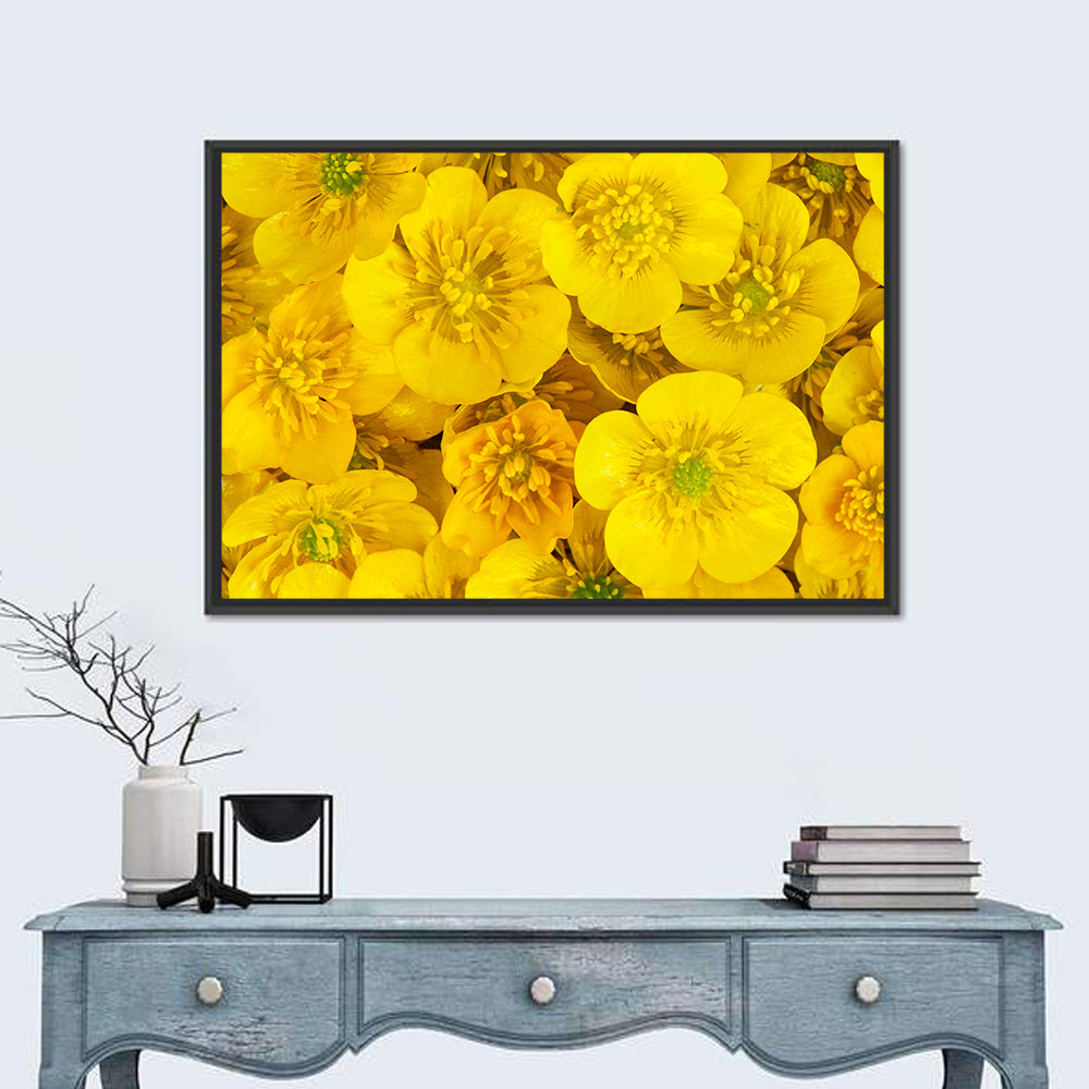 Yellow Buttercup Close-up Wall Art in a room, landscape