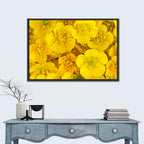 Yellow Buttercup Close-up Wall Art