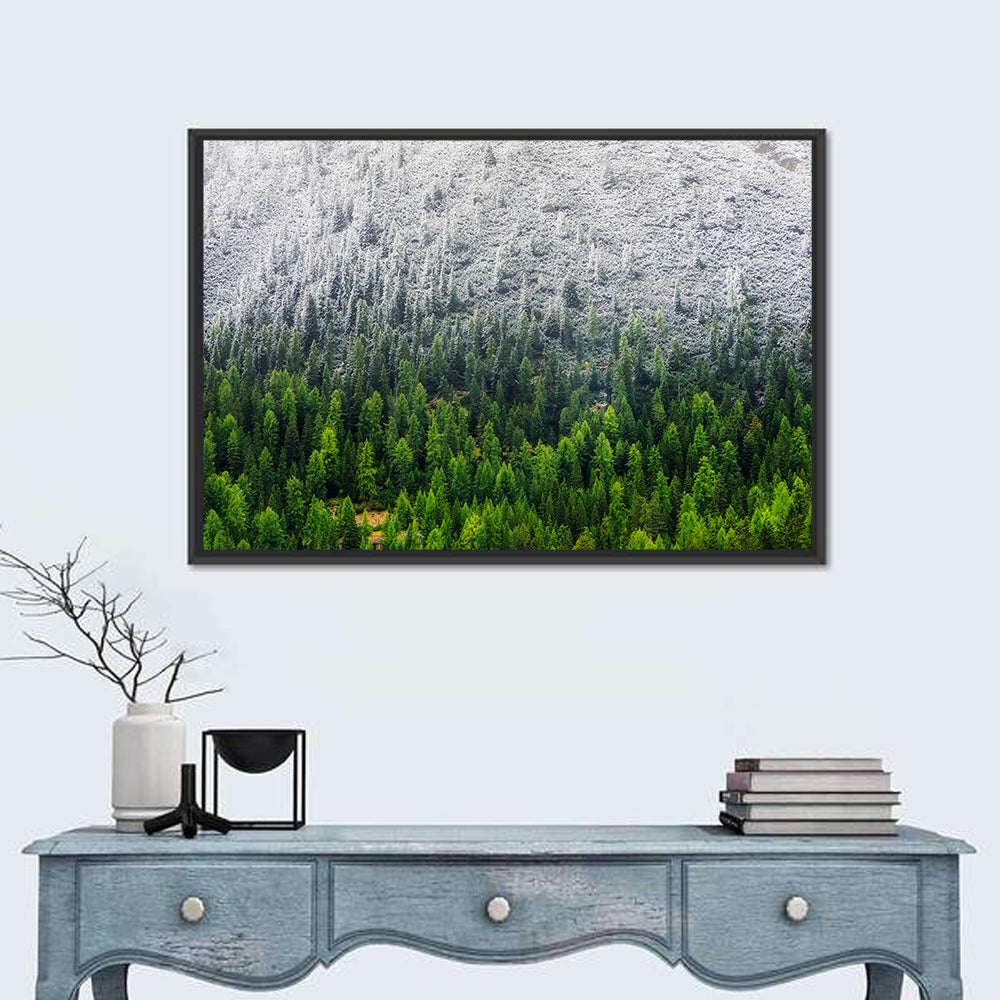Snowy Dolomites Forest Wall Art in a room, landscape