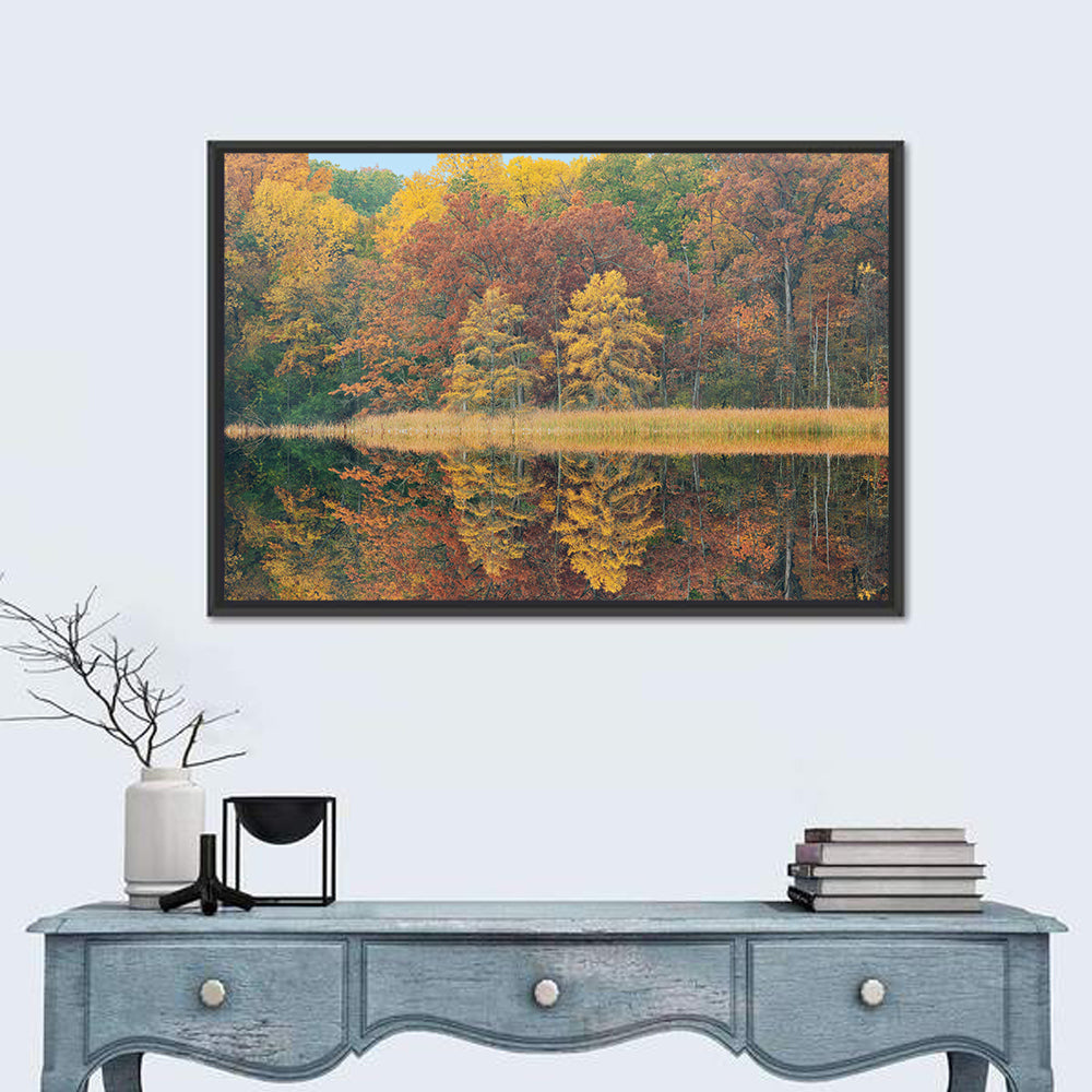 Douglas Lake Autumn Reflection Wall Art