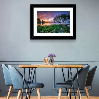 Cipondoh Lake Hyacinth Sunset Wall Art