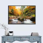 Forest Stream in Autumn Wall Art