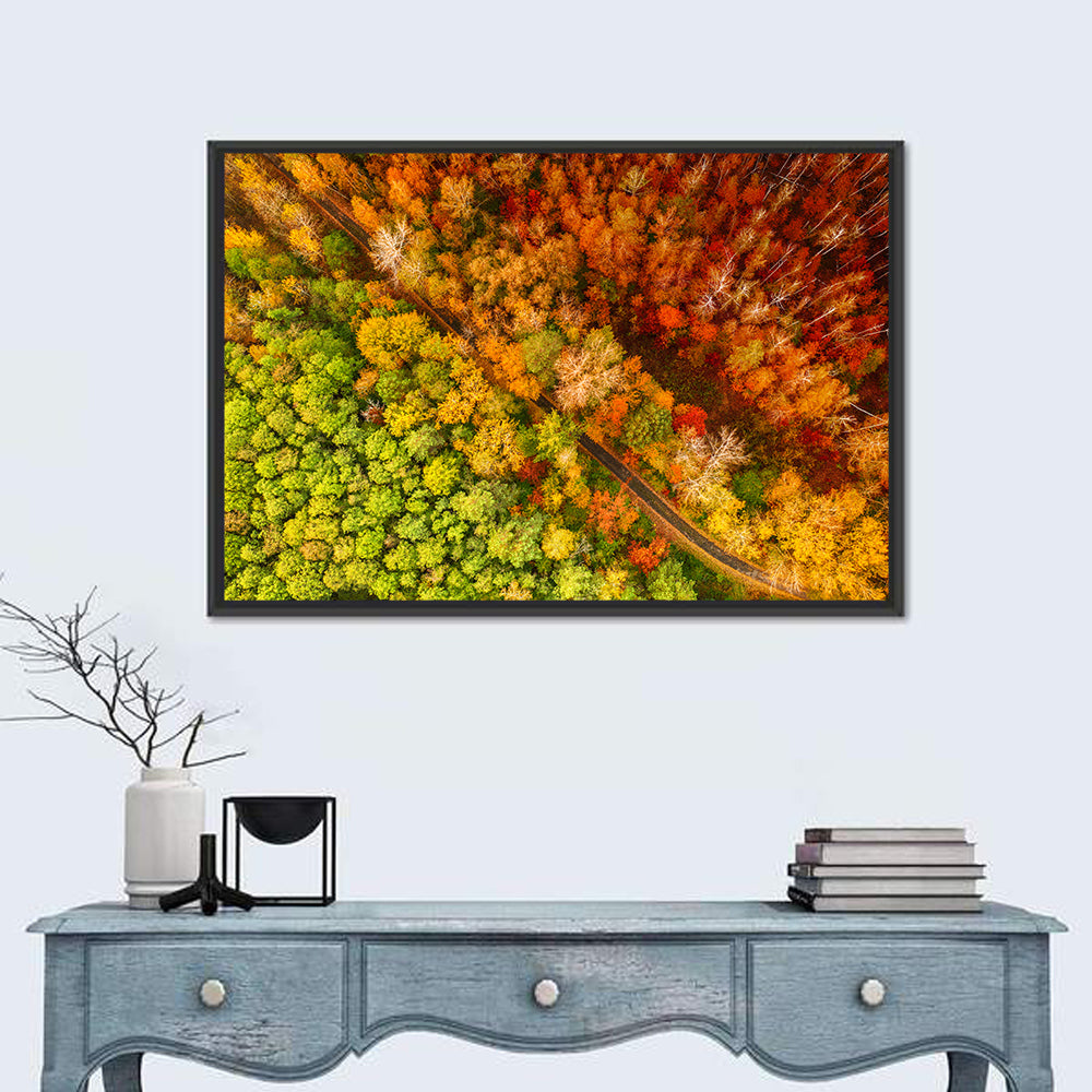 Winding Road Through Autumn Forest Wall Art