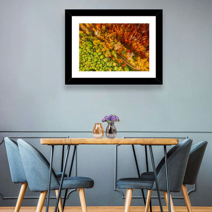 Colorful Autumn Forest Wall Art