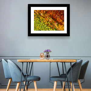 Colorful Autumn Forest Wall Art