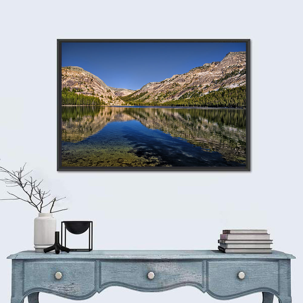 Tenaya Lake Reflection Wall Art in a room, landscape