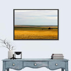 Lone Barn, Montana Farmland Wall Art