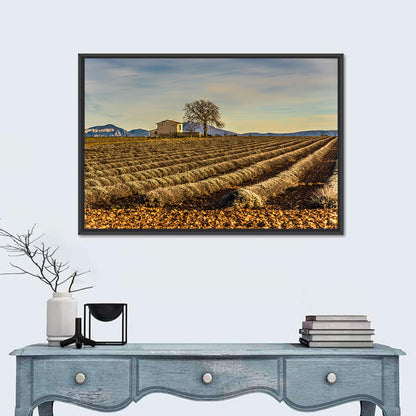 Rustic Provence Lavender Rows at Golden Hour Wall Art