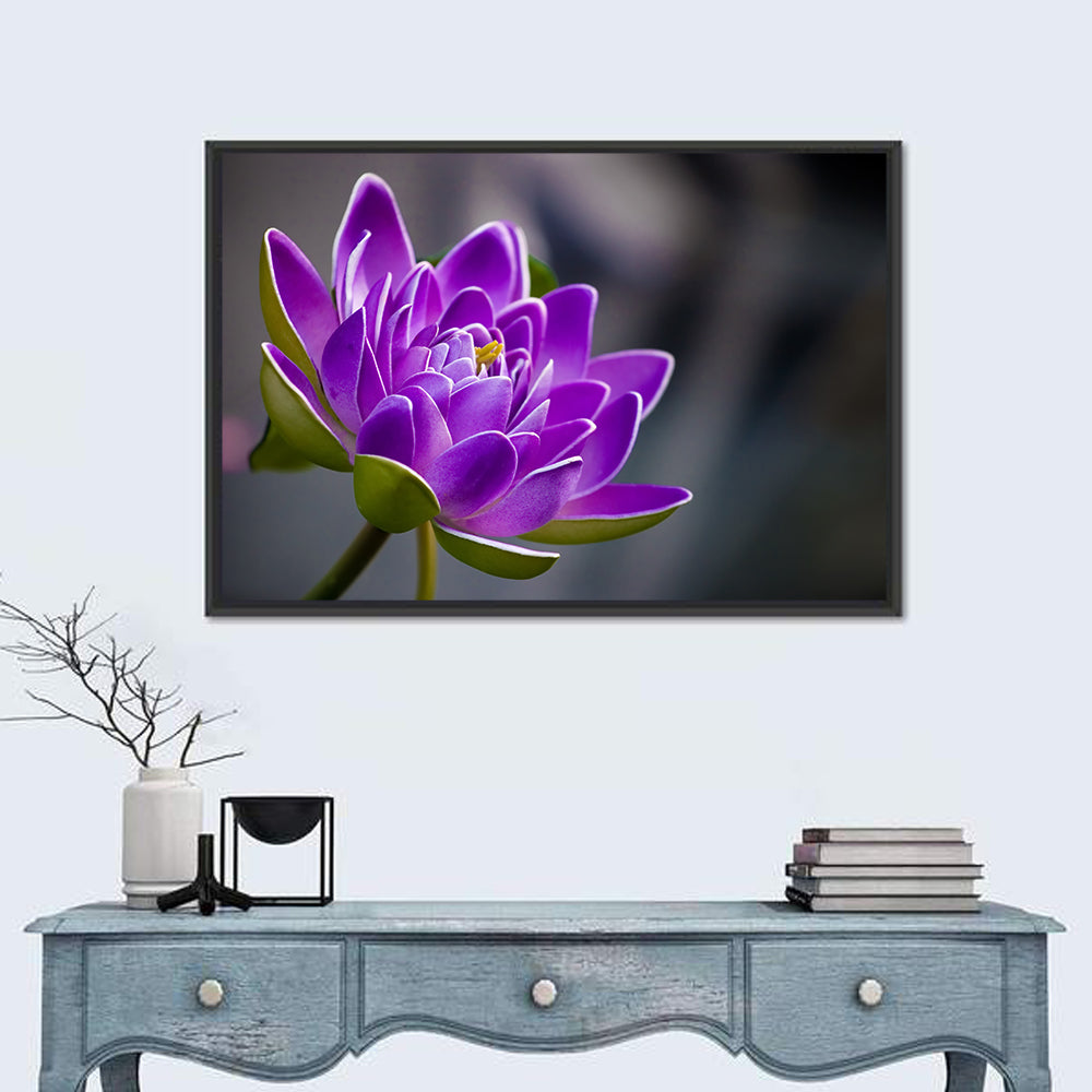 Purple Water Lily Close-up Wall Art