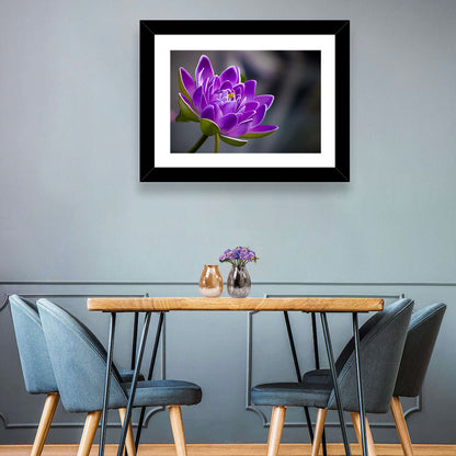 Purple Water Lily Close-up Wall Art