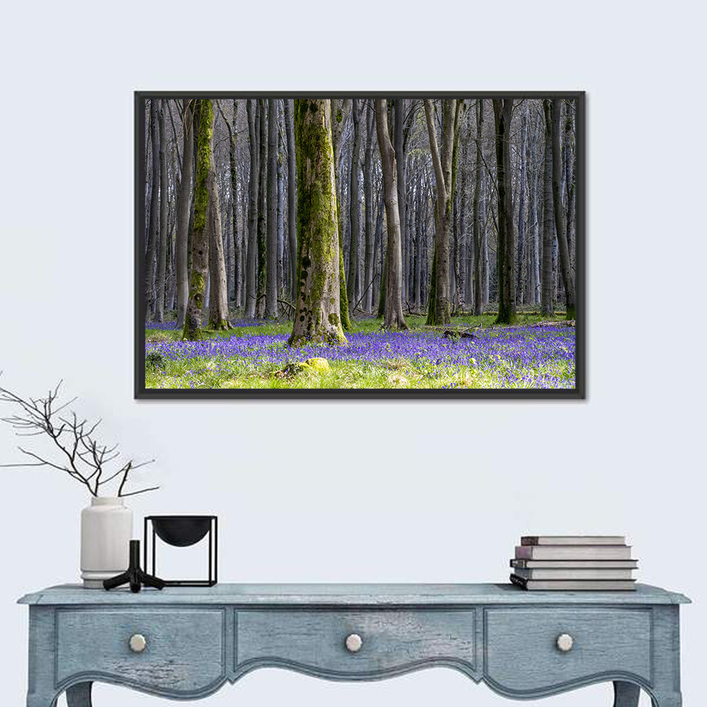 Bluebell Beechwood Grove Wall Art in a room, landscape