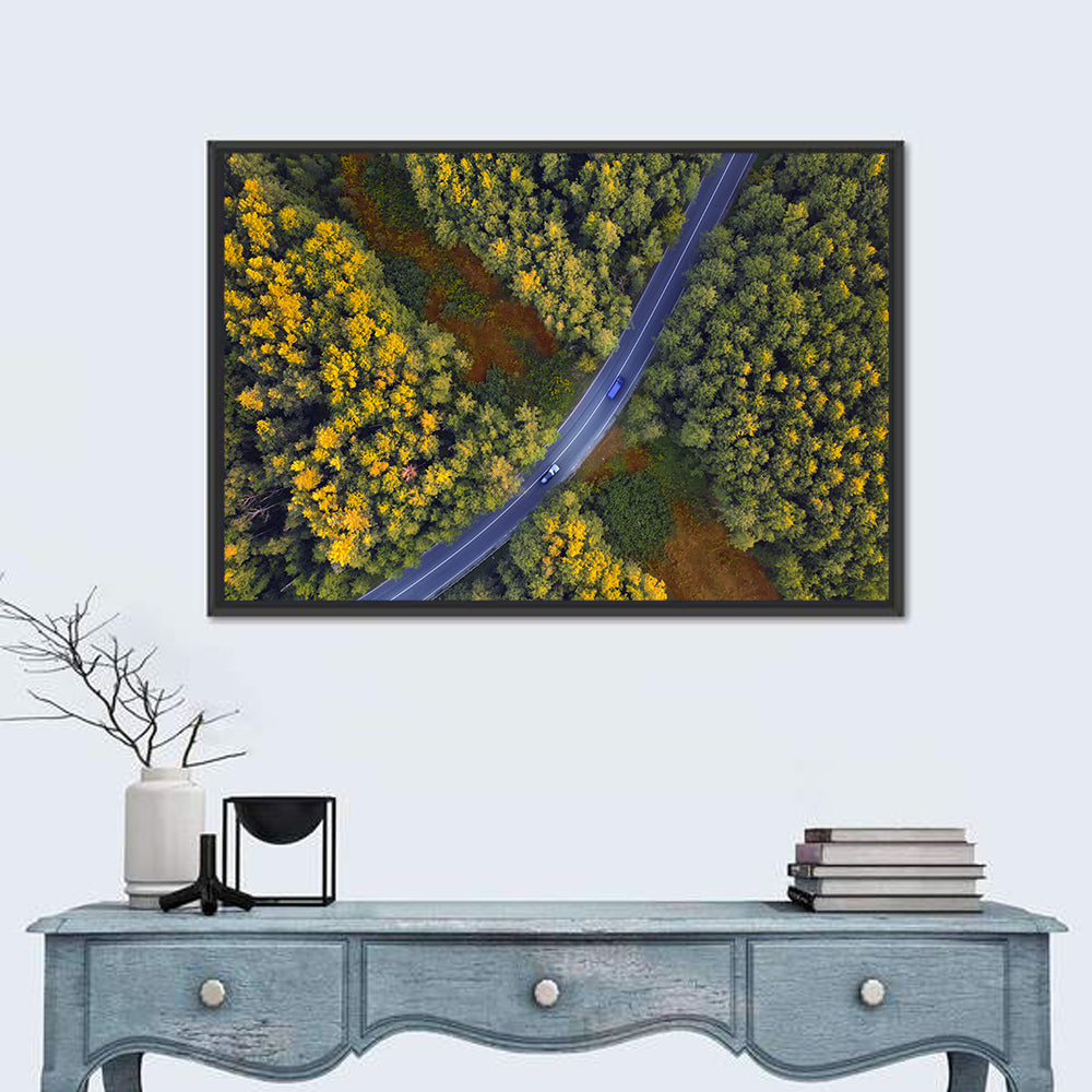 Aerial Autumn Forest Road Wall Art