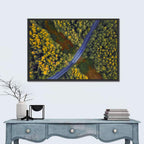 Aerial Autumn Forest Road Wall Art