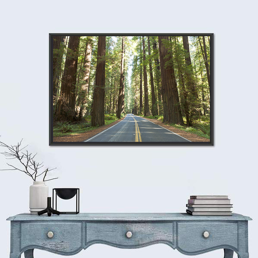 Giants Avenue Redwood Forest Road Wall Art