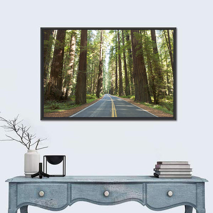 Giants Avenue Redwood Forest Road Wall Art