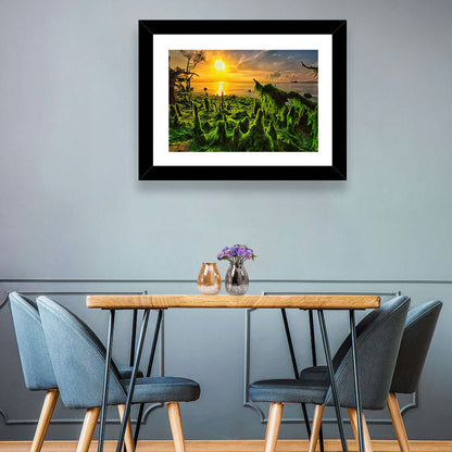 Mangrove Roots at Sunset Wall Art