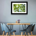 Sunlit Tree Canopy Wall Art