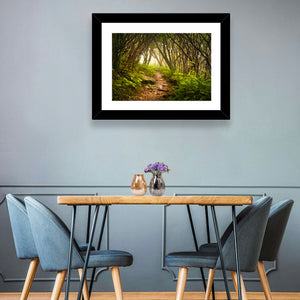 Craggy Gardens Hiking Trail Wall Art