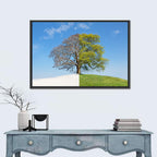 Split Season Tree Landscape Wall Art