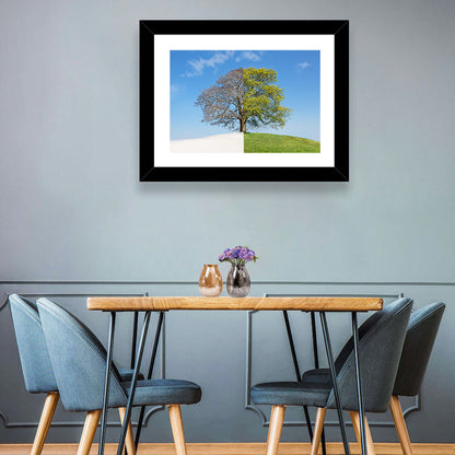 Split Season Tree Landscape Wall Art