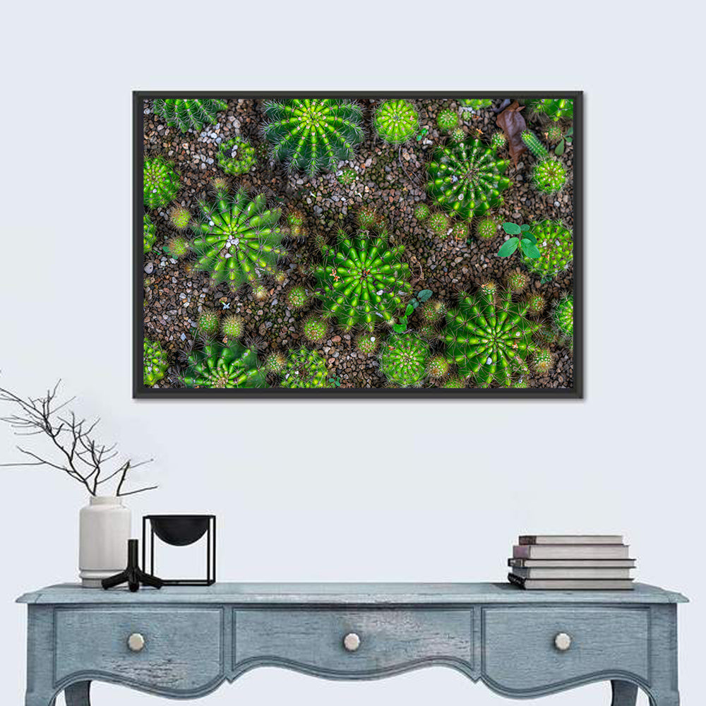Top-down Cactus Garden Wall Art in a room, landscape