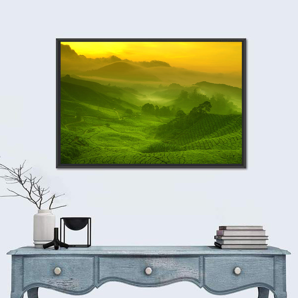 Sunlit Tea Plantation Hills Wall Art in a room, landscape