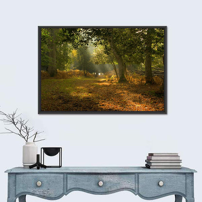 Autumn Forest Path, Hampshire Wall Art