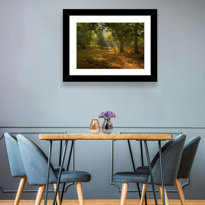 Autumn Forest Path, Hampshire Wall Art