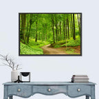 Sunlit Forest Path Wall Art