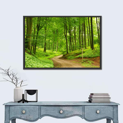 Sunlit Forest Path Wall Art