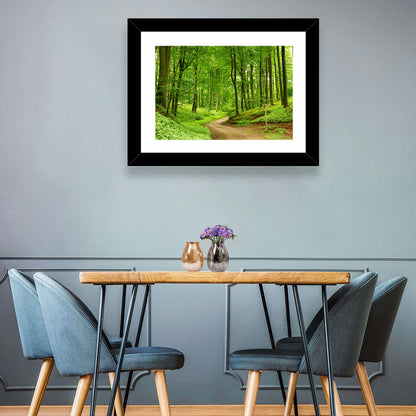 Sunlit Forest Path Wall Art
