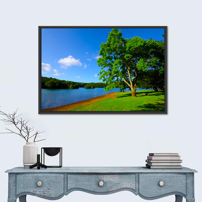 Lake Ippeki Solitary Tree Wall Art