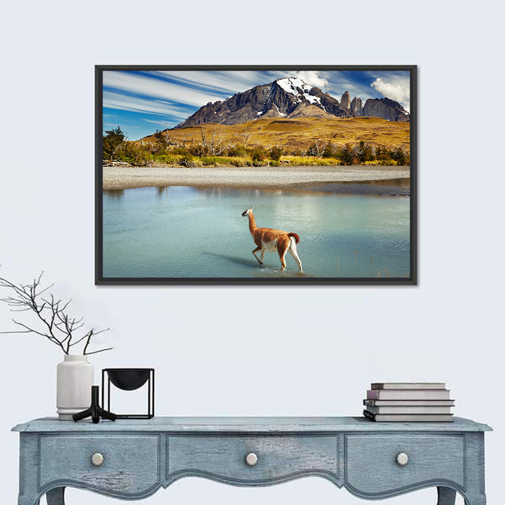 Torres Del Paine, Patagonia Wall Art in a room, landscape