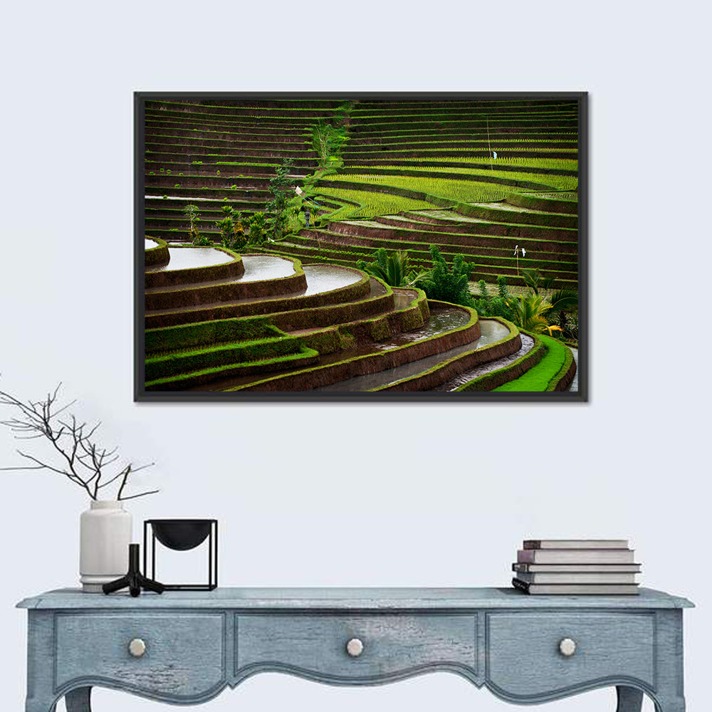 Lush Rice Terraces Wall Art