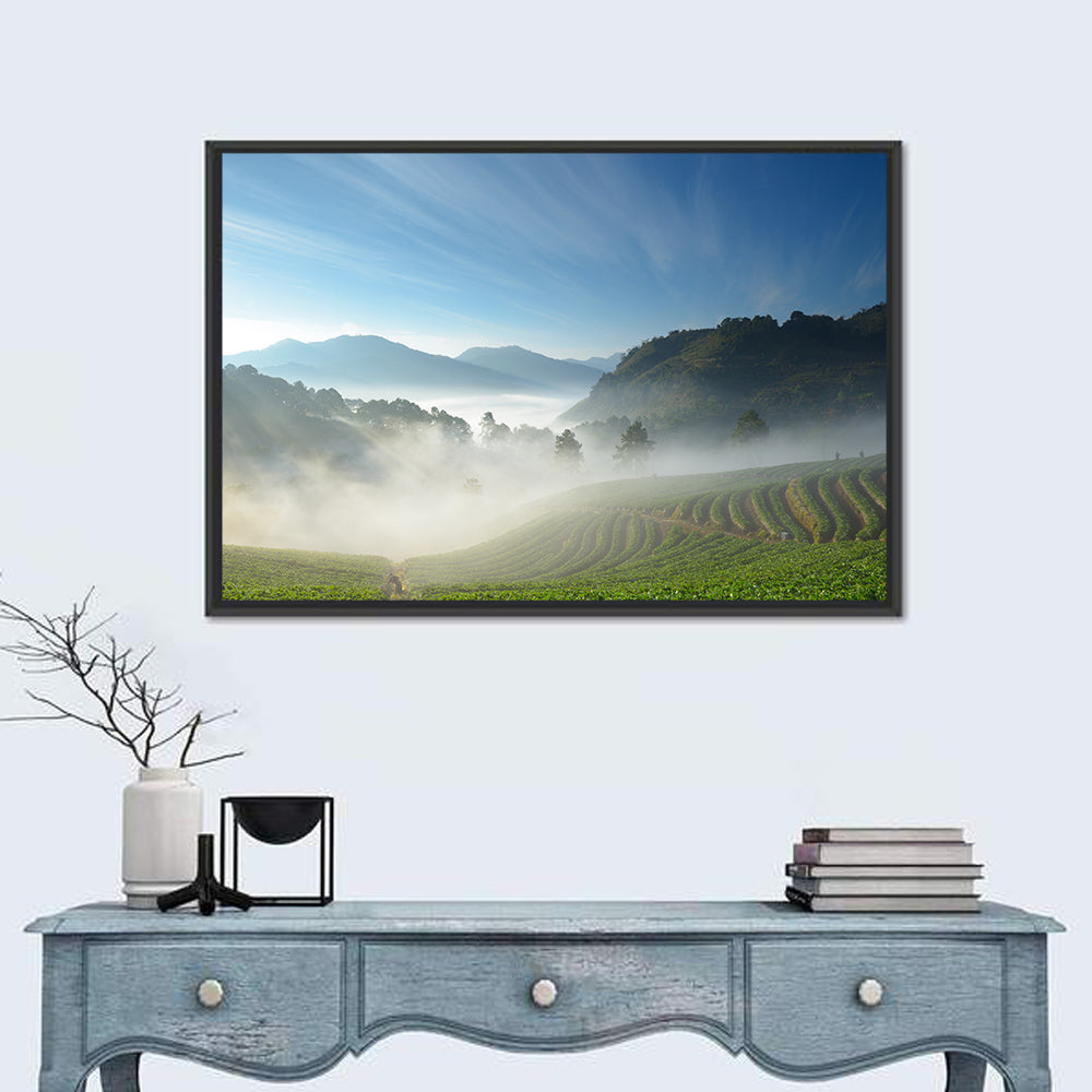 Sunlit Terraced Tea Hills Wall Art