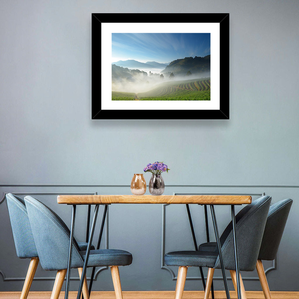 Sunlit Terraced Tea Hills Wall Art