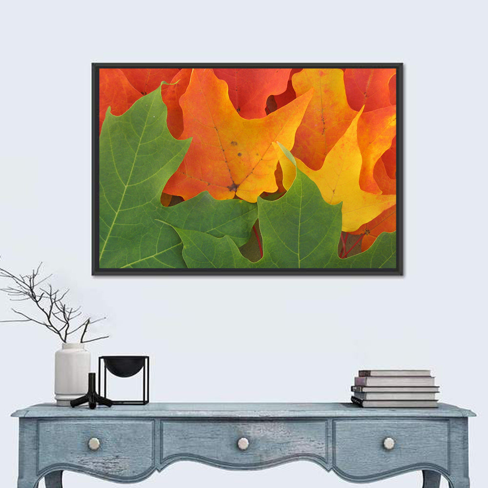 Autumn Maple Leaves Wall Art in a room, landscape